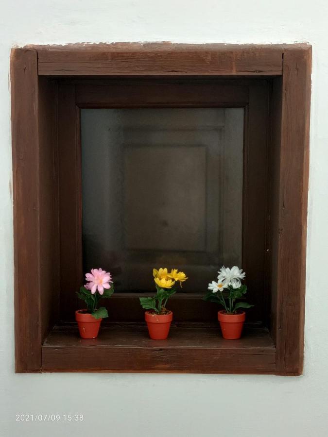 דירות קטאניה Florhouse Pacini מראה חיצוני תמונה