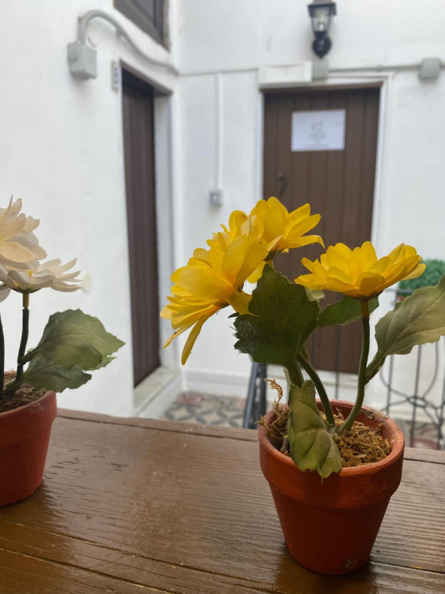 דירות קטאניה Florhouse Pacini מראה חיצוני תמונה